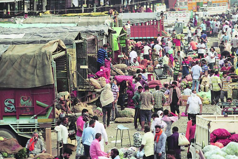 महापालिकेची ७ ठिकाणी शेतकरी आठवडे बाजाराला मान्यता; हक्काची जागा अल्प दरात उपलब्ध होणार