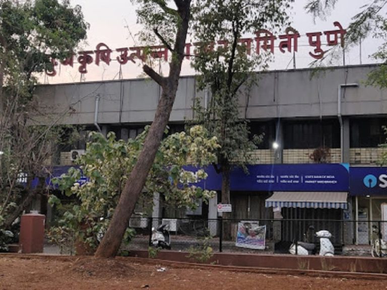 १९ वर्षानंतर निवडणूक राष्ट्रवादीचा काँग्रेसला डच्चू ५ नावंही जाहीर; भाजप सोडचिठ्ठीचा हा फायदा