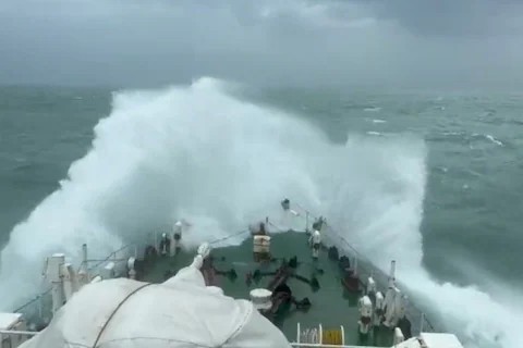 IMG-20230612-WA0351
