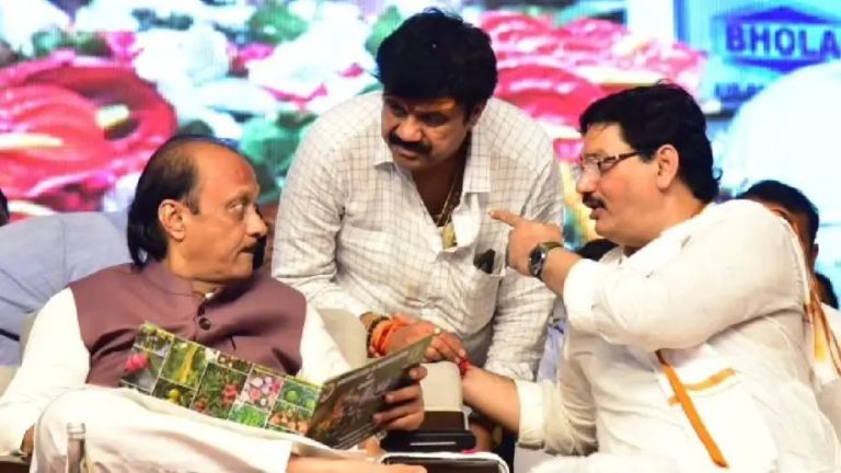 वाल्मिक कराडची भारताबाहेर संपत्ती? कोर्टात धक्कादायक खुलासे, १० दिवसांच्या कोठडीची मागणी