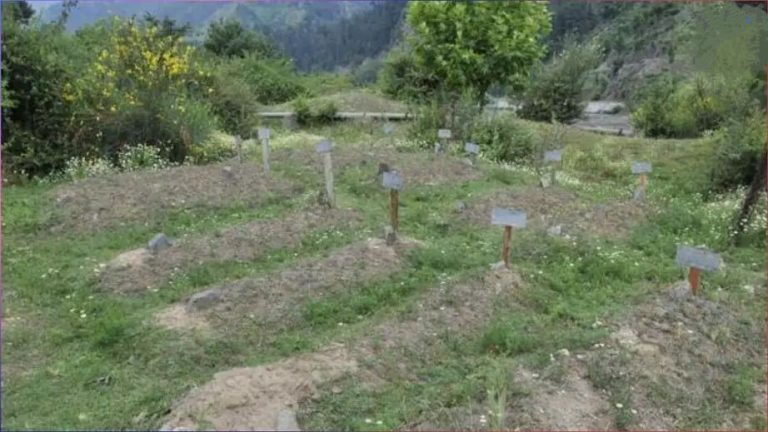 अर्भकाचा दफनभूमीतील मृतदेह संशयास्पदरीत्या गायब; “या गंभीर प्रकाराला प्रशासन जबाबदार सुरक्षेवर प्रश्‍नचिन्ह