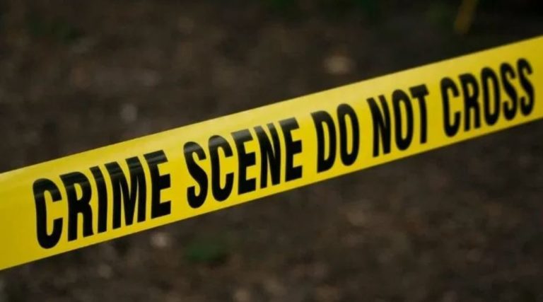 पुण्यात खळबळ! हात-पाय कापले, डोकंही धडावेगळं, भोसरीत हादरवून टाकणारा खून