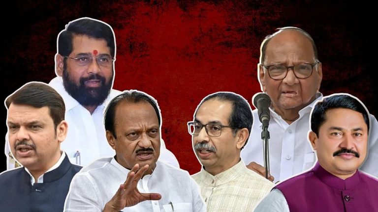 भाजपच्या पाठिंब्यावर काँग्रेस नेत्याची निवड; फडणवीसांच्या आदेशाने नियुक्ती सभापतीपदी काँग्रेस नेता विराजमान १८ पैकी १३ जागी वर्चस्व