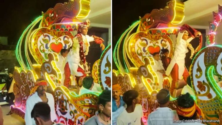Viral Video : नवरा मुलगा मिरवणुकीत झाला आऊट ऑफ कंट्रोल, रथावर बेभान होऊन नाचला