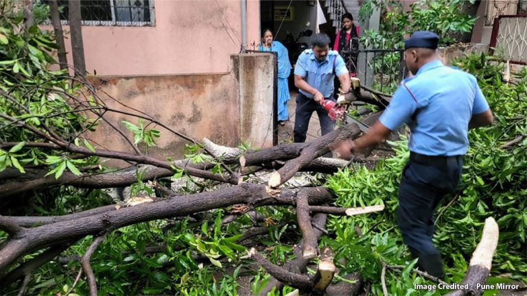 पुण्यात अवघ्या १० तासांत ३४ झाडे कोसळली; मुसळधार पावसामुळे जनजीवन विस्कळीत