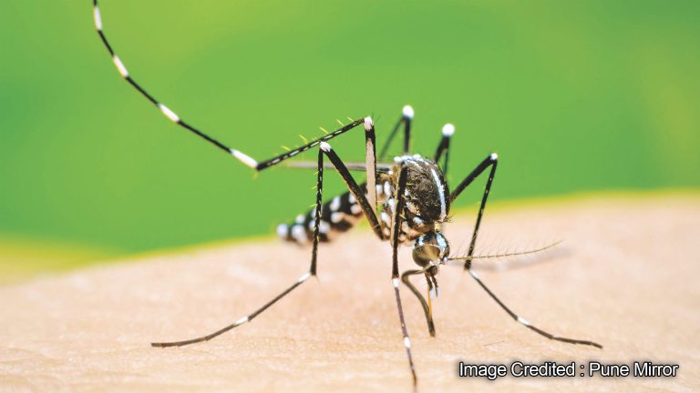 डेंग्यू, चिकनगुनिया आणि मलेरिया नियंत्रणात; वर्षभराच्या मोहिमेनंतर पुणे महानगरपालिकेची यशस्वी कामगिरी