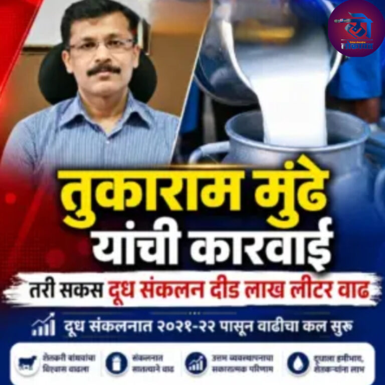 FDAच्या कारवाईनंतरही दूध संकलनात दीड लाख लीटर वाढ; भेसळी विरोधी कारवाईचा संकलनावर परिणाम नाही ही कारणे 