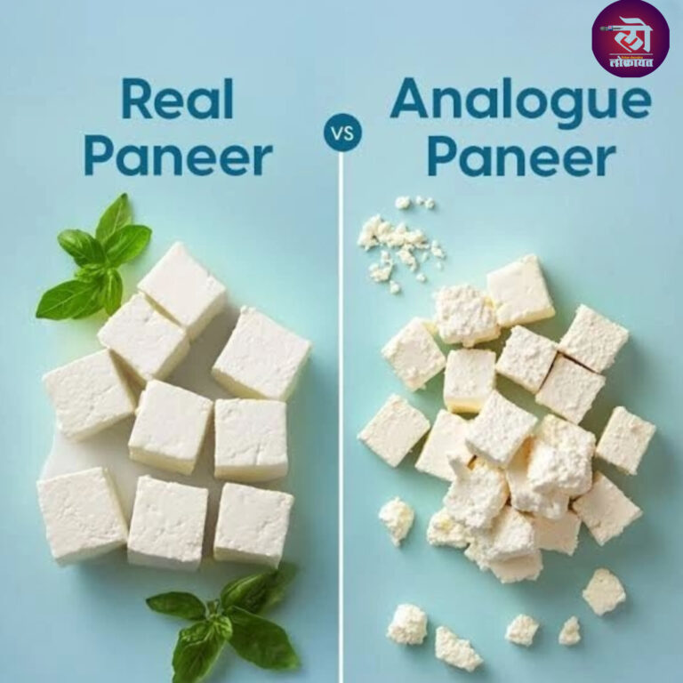 कसं ओळखाल अस्सल पनीर? महाराष्ट्र राज्यात अ‍ॅनालॉग पनीरवर बंदी, कृत्रिम पनीरपासून ग्राहकांची सुटका