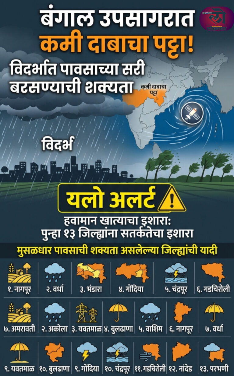 बंगाल उपसागरात कमी दाबाचा पट्टा विदर्भात पावसाच्या सरी बरसण्याची शक्यता पुन्हा १३ जिल्ह्यांना यलो अलर्ट 