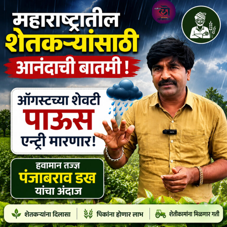 महाराष्ट्रातील शेतकऱ्यांसाठी आनंदाची बातमी, ऑगस्टच्या शेवटी पाऊस एन्ट्री मारणार, हवामान तज्ज्ञ पंजाबराव डख यांचा अंदाज