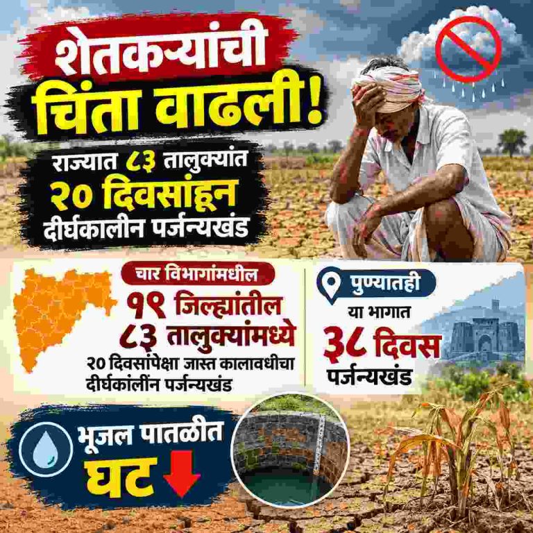 शेतकऱ्यांची चिंता वाढली! राज्यात ८३ तालुक्यांत २० दिवसांहून दीर्घकालीन पर्जन्यखंड; पुण्यातही या भागात ३८ दिवस पर्जन्यखंड
