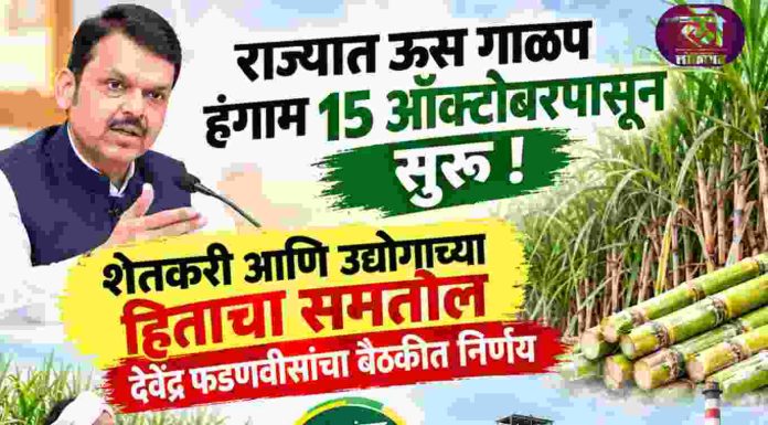 राज्यात ऊस गाळप हंगाम 15 ऑक्टोबरपासून सुरुवात, शेतकरी आणि उद्योगाच्या हिताचा समतोल मुख्यमंत्र्यांच्या बैठकीत निर्णय