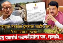 ‘महाराष्ट्रात तत्काळ दुष्काळ जाहीर करा’ 9 मागण्या मांडल्या शरद पवारांचे मुख्यमंत्र्यांना पत्र, नेमकं काय म्हणाले?