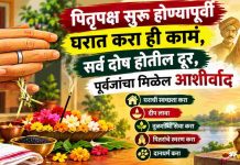 पितृपक्ष सुरू होण्यापूर्वी घरात करा ही कामं, सर्व दोष होतील दूर, तुमच्याही पूर्वजांचाही मिळेल शुभआशीर्वाद