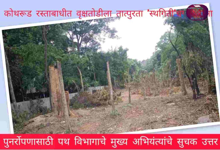 कोथरूड रस्ताबाधीत वृक्षतोड तात्पुरता ‘स्थगिती’चा दिलासा; पुनर्रोपणासाठी पथ विभागाच्या मुख्य अभियंत्यांचे सुचक उत्तर