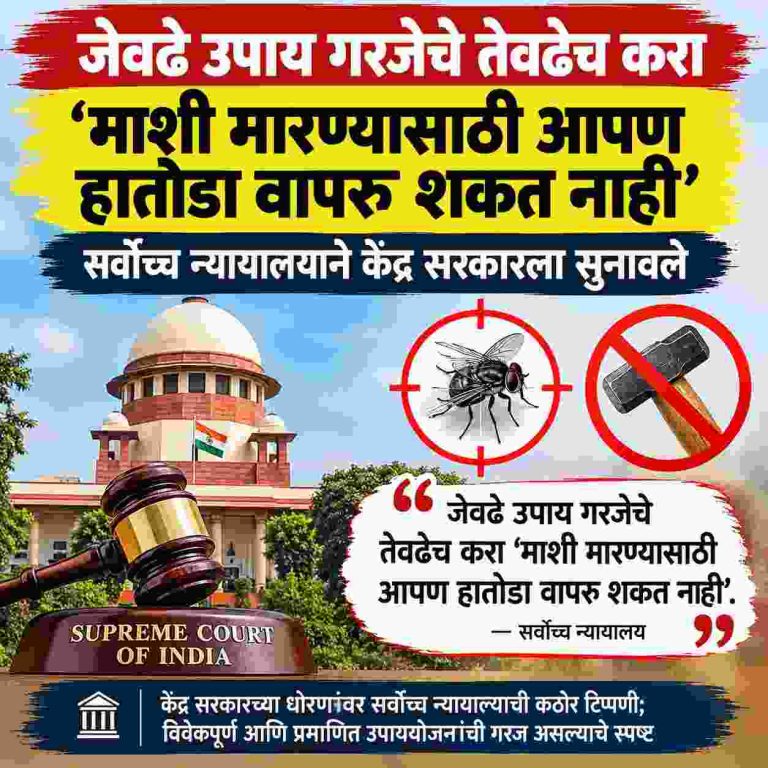 जेवढे उपाय गरजेचे तेवढेच करा ‘माशी मारण्यासाठी आपण हातोडा वापरू शकत नाही’; सर्वोच्च न्यायालयाने सुनावले