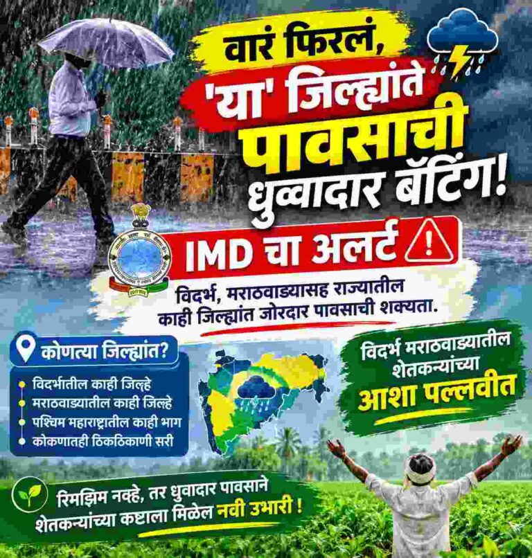 वारं फिरलं, ‘या’ जिल्ह्यांत पावसाची धुव्वादार बॅटिंग, IMD चा अलर्ट; विदर्भ मराठवाड्यातील शेतकऱ्यांच्या आशा पल्लवीत